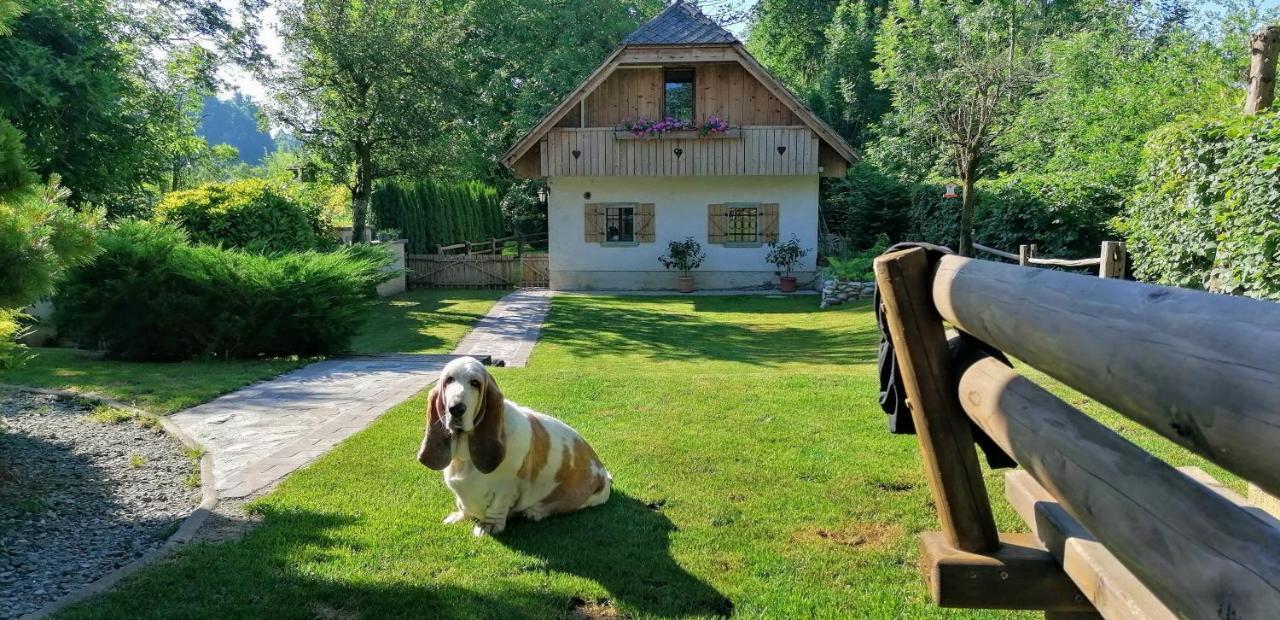 Vila Jana Radovljica Exterior foto